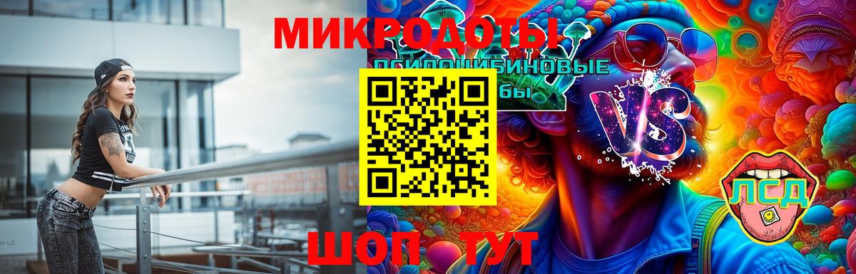 Псилоцибиновые грибы Psilocybe Губаха