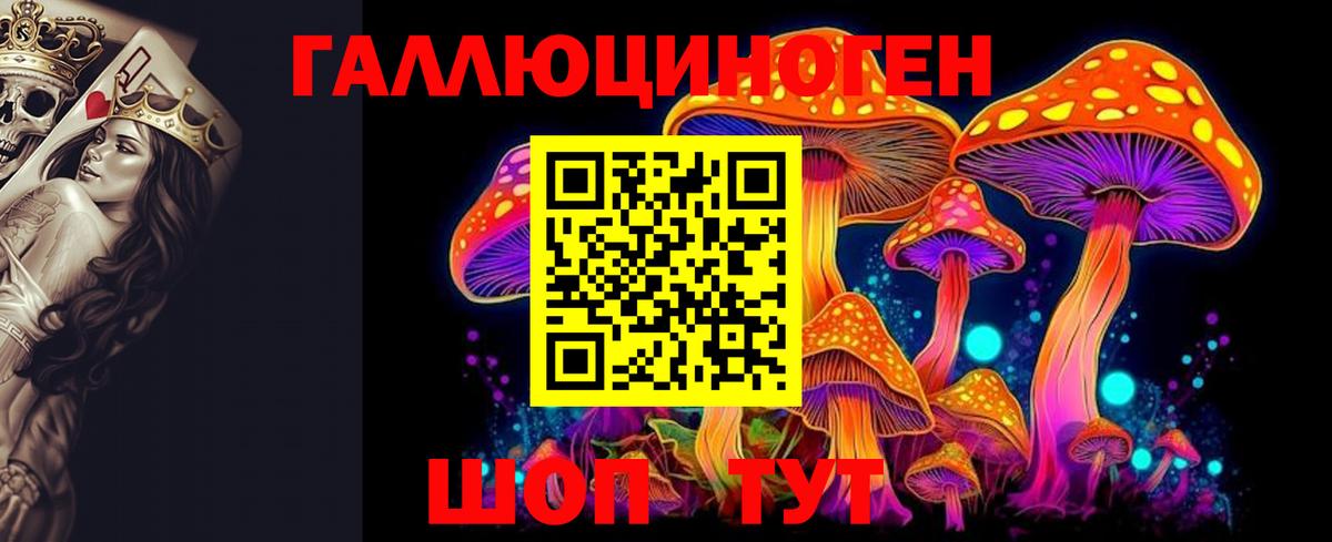 Галлюциногенные грибы Cubensis  Вход с VPN  Галлюциногенные грибы мухоморы  Губаха 